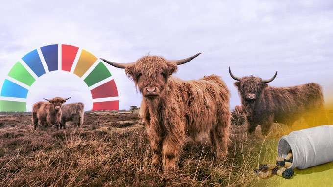Klima-Irrsinn: Britische Bauern müssen Kühen bald Anti-Rülps-Pillen reinzwängen