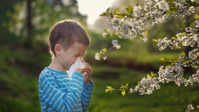 Rechtzeitig zum Saisonbeginn: Lieferengpässe bei zehn Allergie-Medikamenten