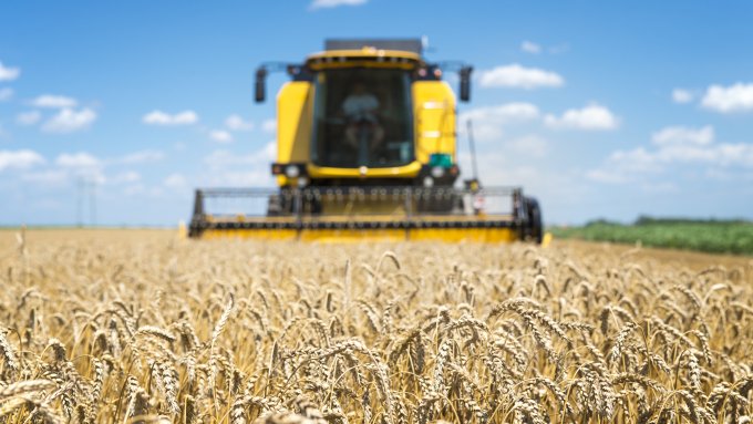 Billiger Gen-Weizen & Co.: Ukraine-EU-Beitritt als Todesstoß für unsere Bauern