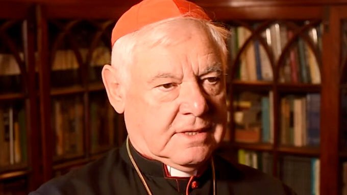 Kardinal Müller klagt an: Genozidale Eliten zerstören Nationen durch Migration